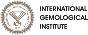igi logo